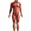 Smiffys Anatomy Man Costume, Red -FANCY THAT FANCY DRESS Sales 21580
