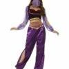Smiffys Arabian Princess Costume, Purple -FANCY THAT FANCY DRESS Sales 24702
