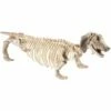 Smiffys Dachshund Dog Skeleton Prop, Natural