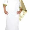 Ancient Man(Roman) Costume XL -FANCY THAT FANCY DRESS Sales AC294 scaled 1