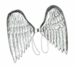 Angel Wings Silver