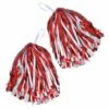 Red/White Pom Poms 1 Red/White Pom Poms -FANCY THAT FANCY DRESS Sales BA1320
