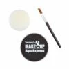 Black Aqua Sponge & Brush 1 Black Aqua Sponge & Brush -FANCY THAT FANCY DRESS Sales MU289